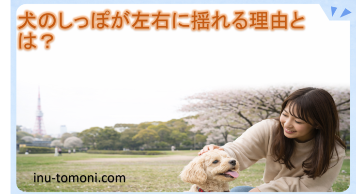 犬のしっぽが左右に揺れる理由とは？
