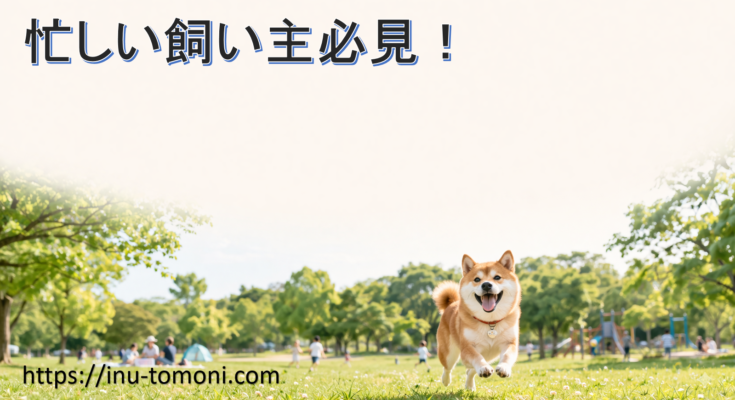 忙しい飼い主必見！