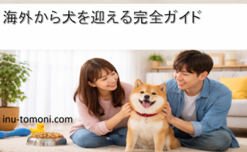 海外から犬を迎える完全ガイド