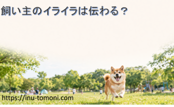 飼い主のイライラは伝わる？