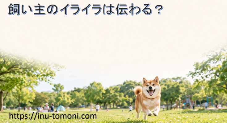 飼い主のイライラは伝わる?