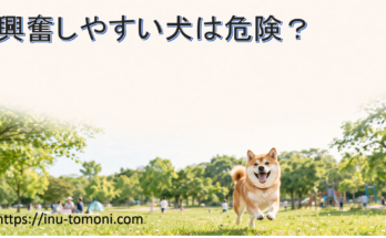 興奮しやすい犬は危険？