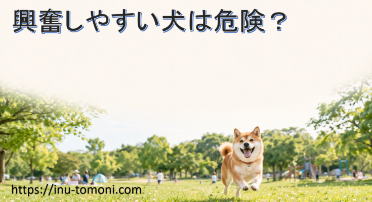 興奮しやすい犬は危険?