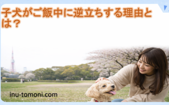 子犬がご飯中に逆立ちする理由とは？