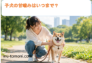 子犬の甘噛みはいつまで？