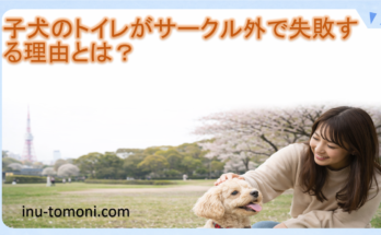 子犬のトイレがサークル外で失敗する理由とは?