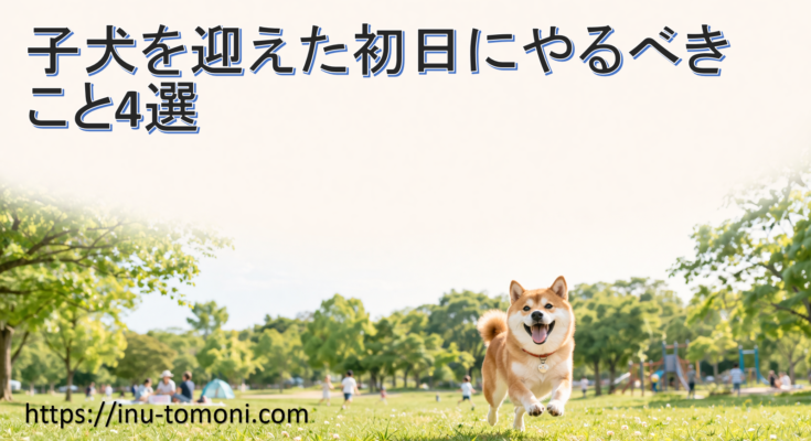 子犬を迎えた初日にやるべきこと4選