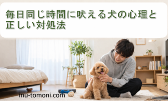 毎日同じ時間に吠える犬の心理と正しい対処法