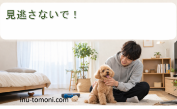見逃さないで！