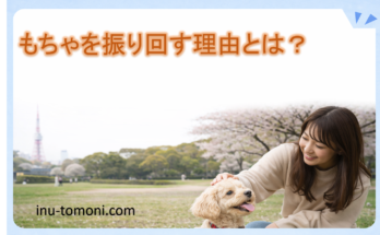 もちゃを振り回す理由とは?