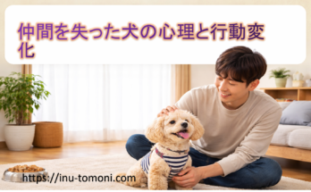 仲間を失った犬の心理と行動変化