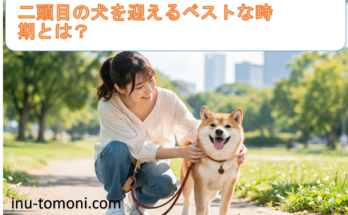 二頭目の犬を迎えるベストな時期とは？