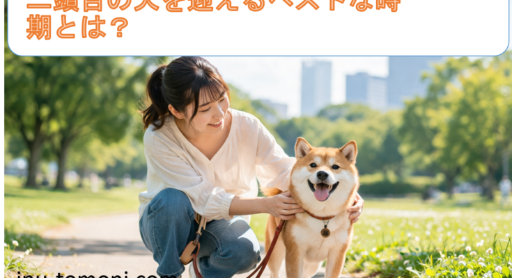 二頭目の犬を迎えるベストな時期とは?