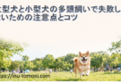 大型犬と小型犬の多頭飼いで失敗しないための注意点とコツ