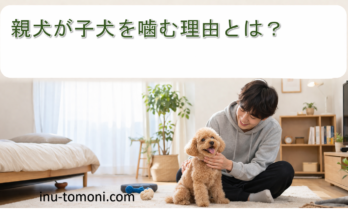 親犬が子犬を噛む理由とは？
