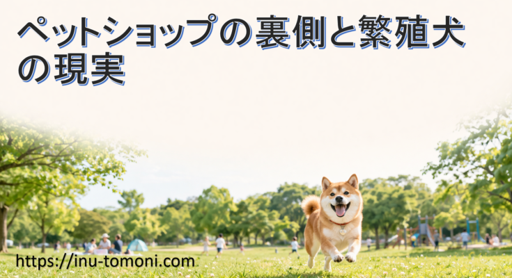 ペットショップの裏側と繁殖犬の現実