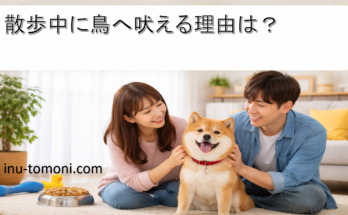 散歩中に鳥へ吠える理由は？