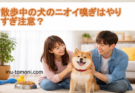 散歩中の犬のニオイ嗅ぎはやりすぎ注意?安全に楽しむしつけ術