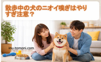 散歩中の犬のニオイ嗅ぎはやりすぎ注意?