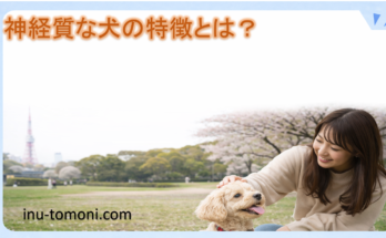 神経質な犬の特徴とは？