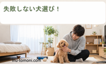 失敗しない犬選び!
