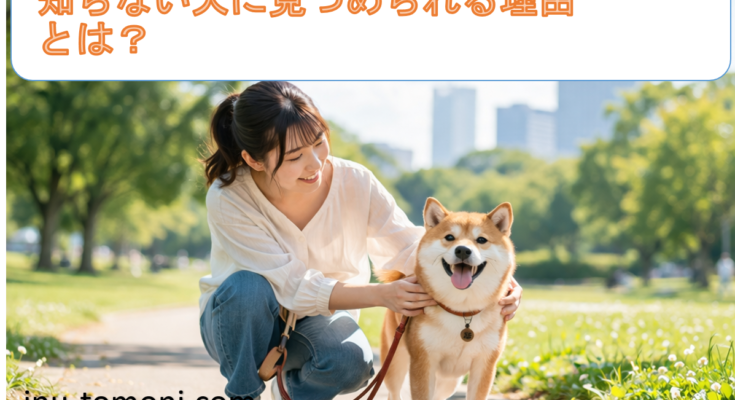 知らない犬に見つめられる理由とは？