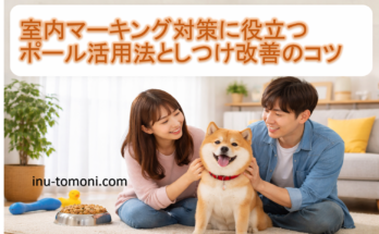 室内マーキング対策に役立つポール活用法としつけ改善のコツ