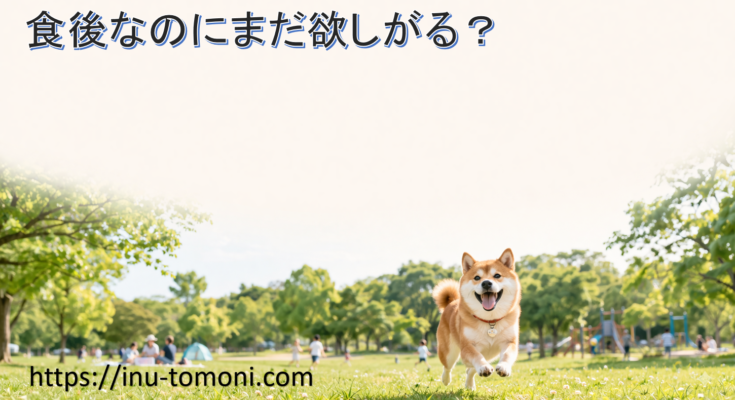 食後なのにまだ欲しがる？