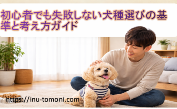 初心者でも失敗しない犬種選びの基準と考え方ガイド