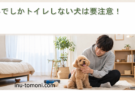 外でしかトイレしない犬は要注意！