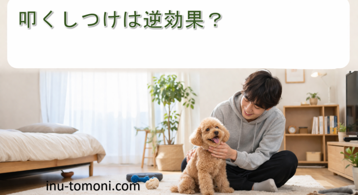 叩くしつけは逆効果？