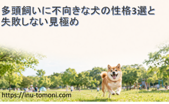 多頭飼いに不向きな犬の性格3選と失敗しない見極め
