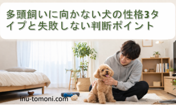 多頭飼いに向かない犬の性格3タイプと失敗しない判断ポイント