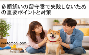 多頭飼いの留守番で失敗しないための重要ポイントと対策