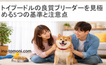 トイプードルの良質ブリーダーを見極める5つの基準と注意点
