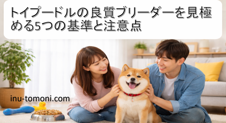 トイプードルの良質ブリーダーを見極める5つの基準と注意点