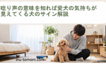 唸り声の意味を知れば愛犬の気持ちが見えてくる犬のサイン解説
