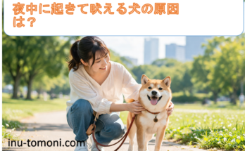 夜中に起きて吠える犬の原因は？