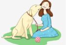 犬のQ熱とは?症状や感染経路、予防法をわかりやすく解説!