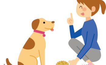 犬の病気