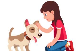 犬の病気