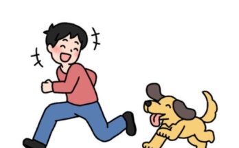 犬の病気