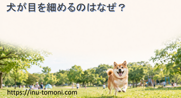 犬が目を細めるのはなぜ？